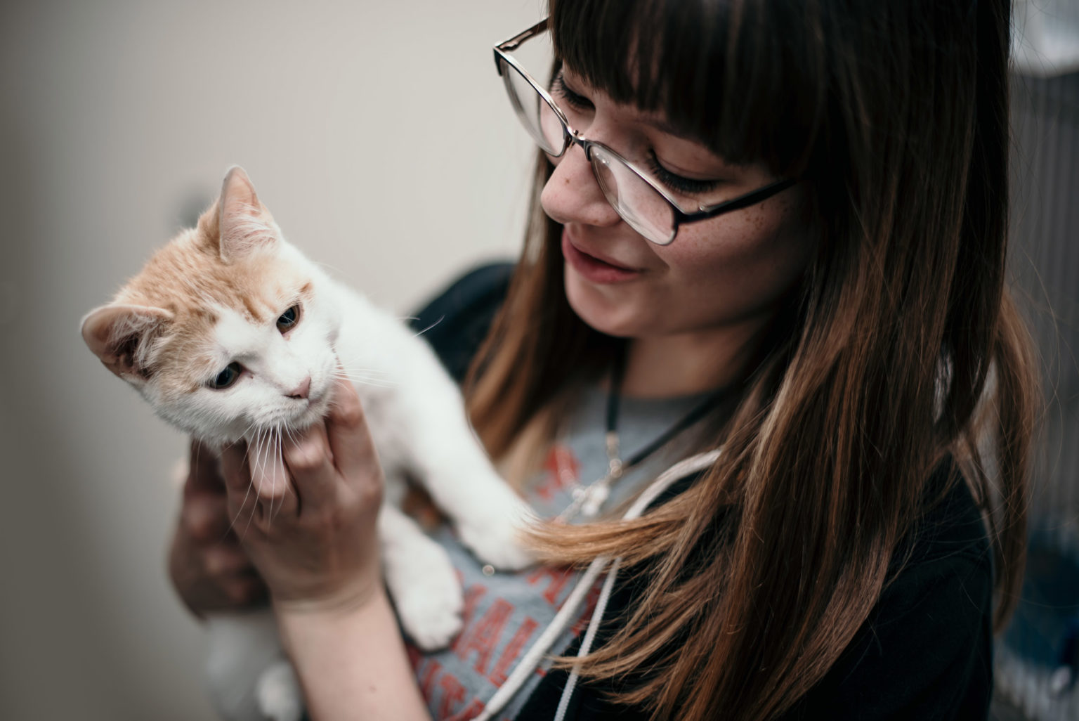 Live Oak Animal Hospital - Veterinarian in Lubbock, TX